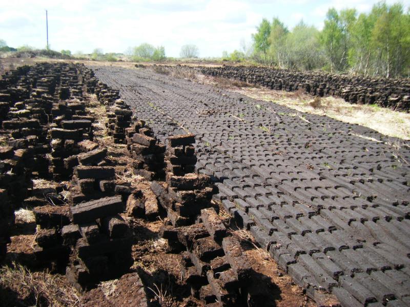 Representatives of European countries meet in Ireland to discuss development of peatlands