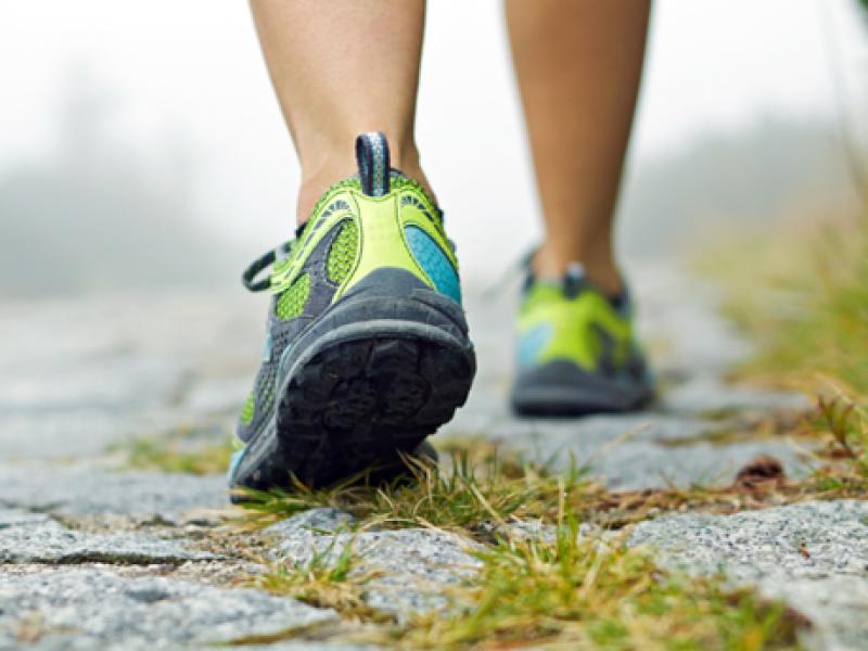 Lions Club hosts Tuesday night walks around Carrick-on-Suir