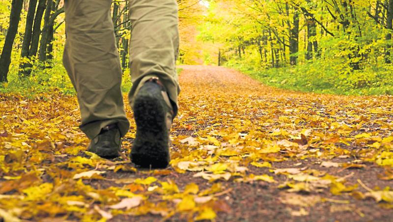 LARCC Devil's Bit Christmas Walk