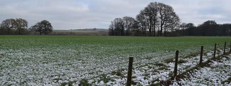 Weather: Cold spell to continue today and for most of the week ahead