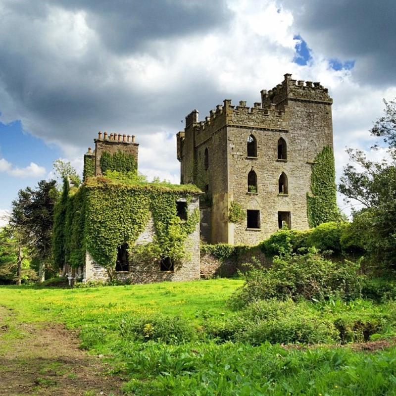 North Tipp's historic  estates come under the microscope  