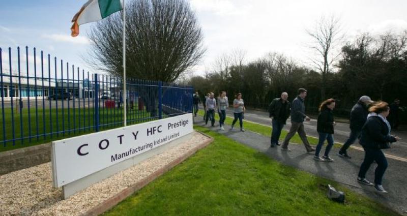 Councillors want Nenagh plant marketed around the world