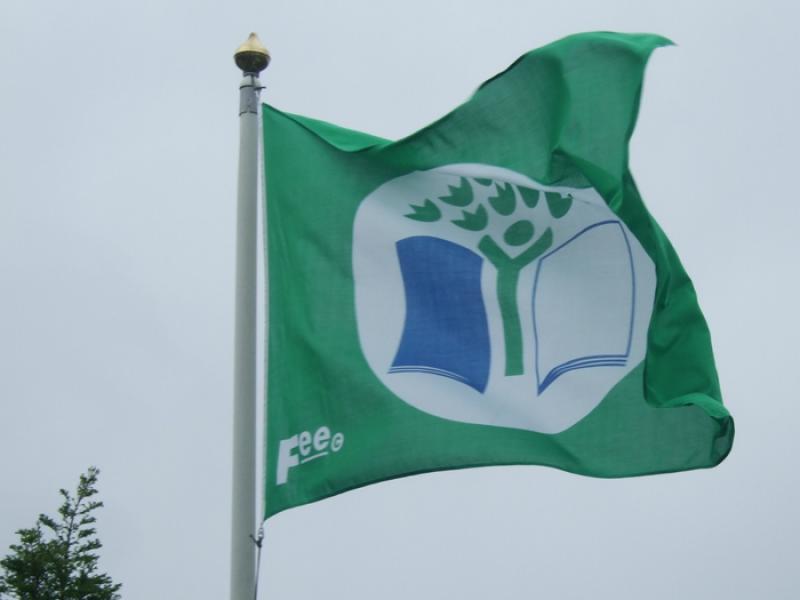 Thurles students takes part in global green schools conference