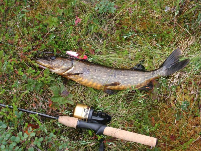 Young Tipperary artists urged to design angling conservation poster