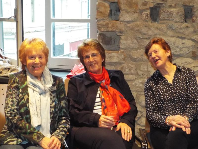 Summer party kicks off not to be missed Clonmel exhibition