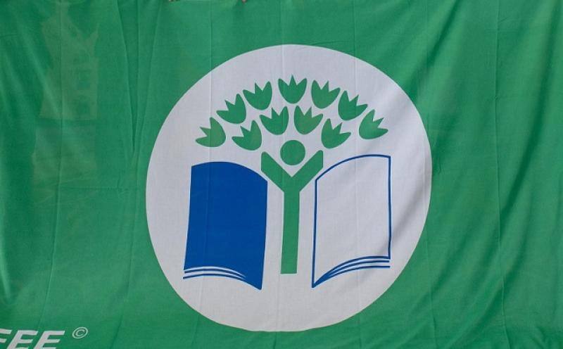 Tipperary schools compete to win Green Schools Big Travel Challenge 