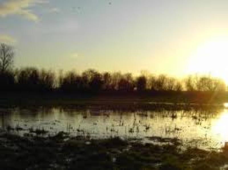 Cabragh Wetlands