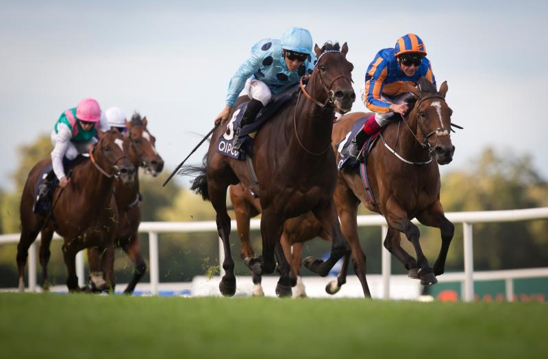 Darley Irish Oaks Tips
