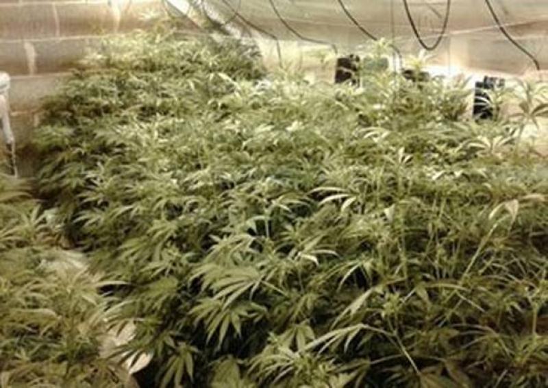 Tipperary crime: Nenagh among areas searched by Gardai in major national drugs operation