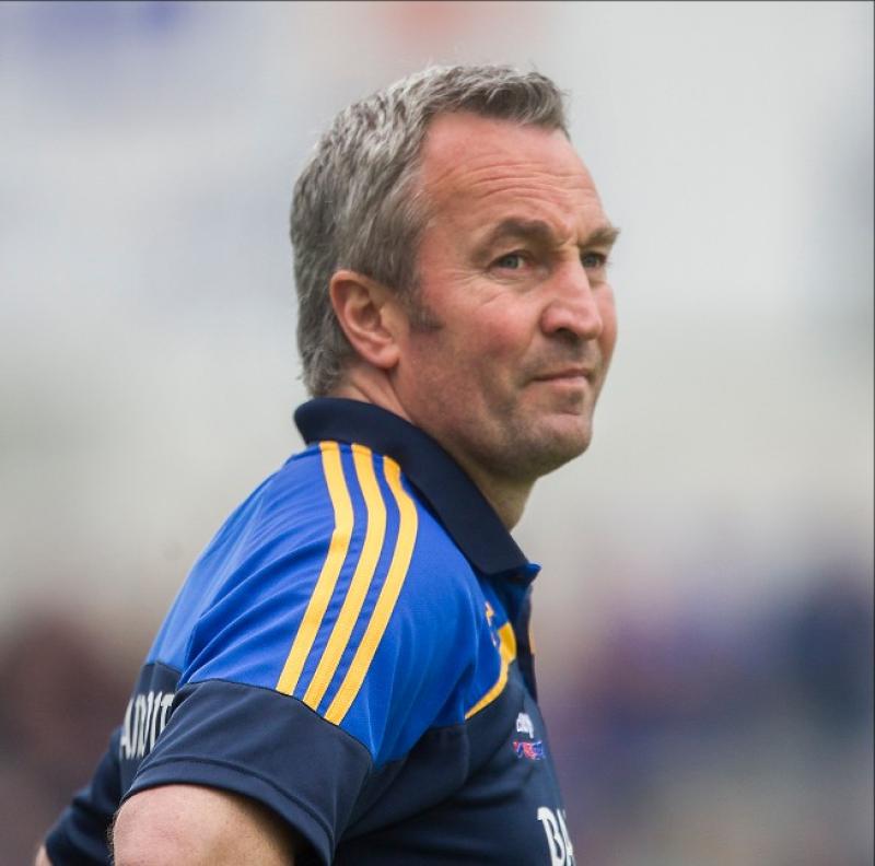 Tipperary hurlers are alive and kicking as the All-Ireland Championship quarter-finals beckon