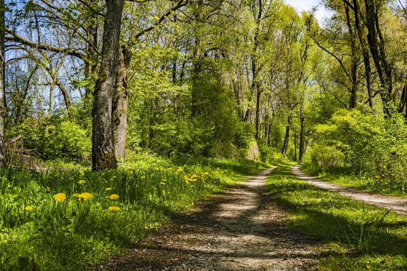 Tipperary man leads family friendly nature walk in this summer 
