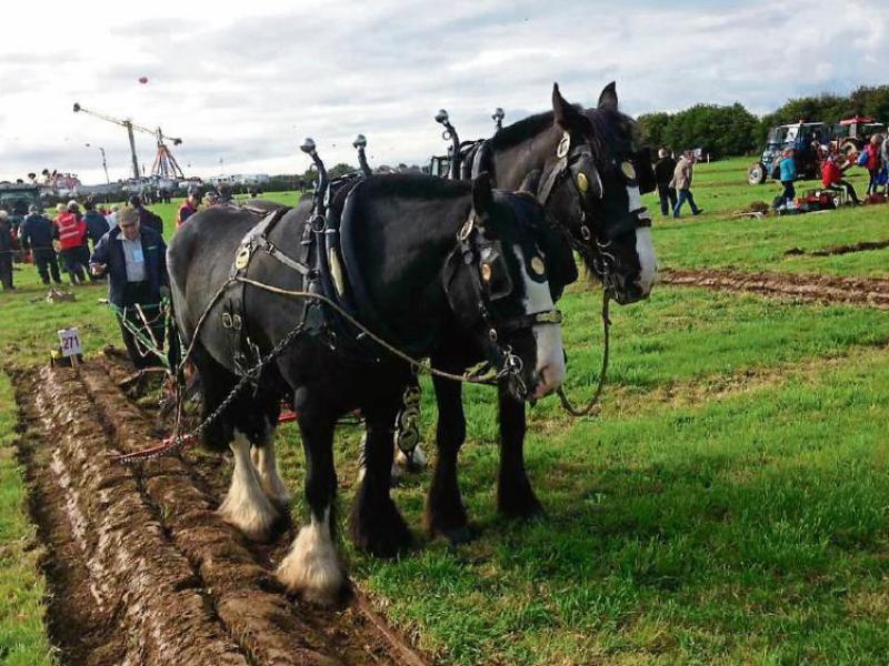 The National Ploughing Championships - one of the highlights of the year