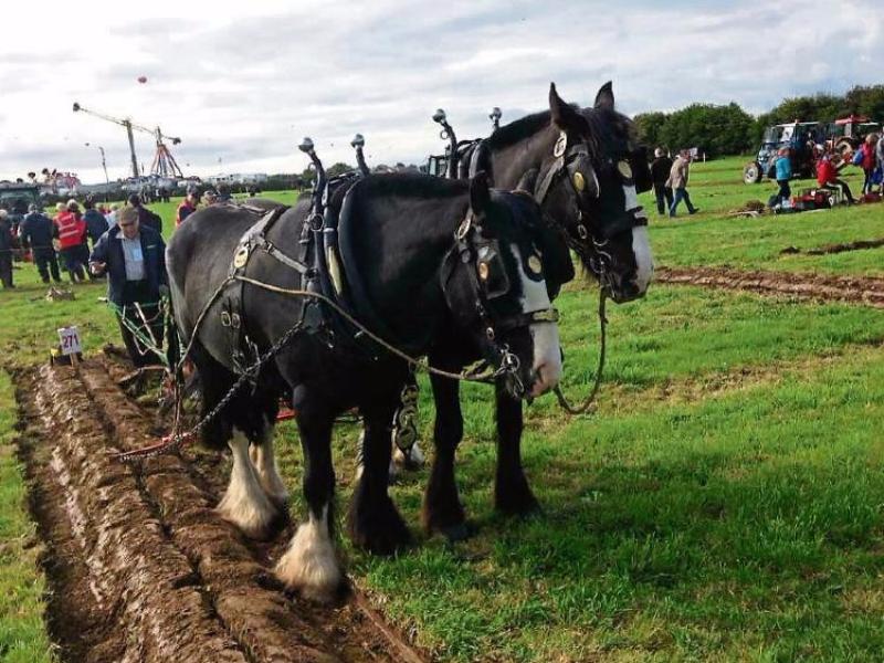 The Leitrim Observer is going to the 2017 Ploughing Championships