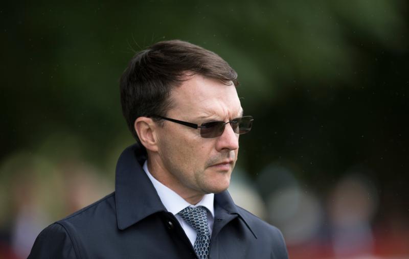 Horse racing: Aidan O'Brien on target for world record