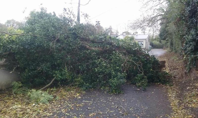 Ophelia roads update: Tipperary County Council continues to work to clear fallen trees