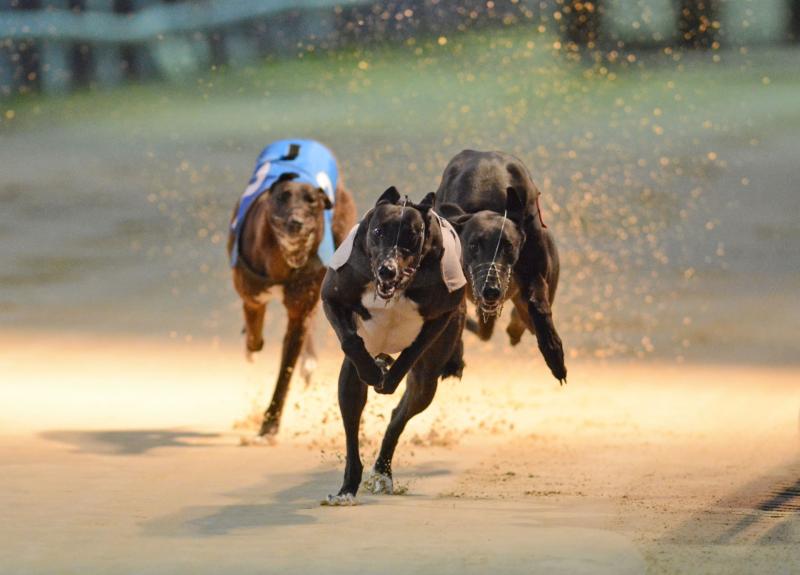 Bar One Irish Sprint Cup quarter-final draw revealed following eventful weekend at Dundalk Stadium, writes Joe Carroll