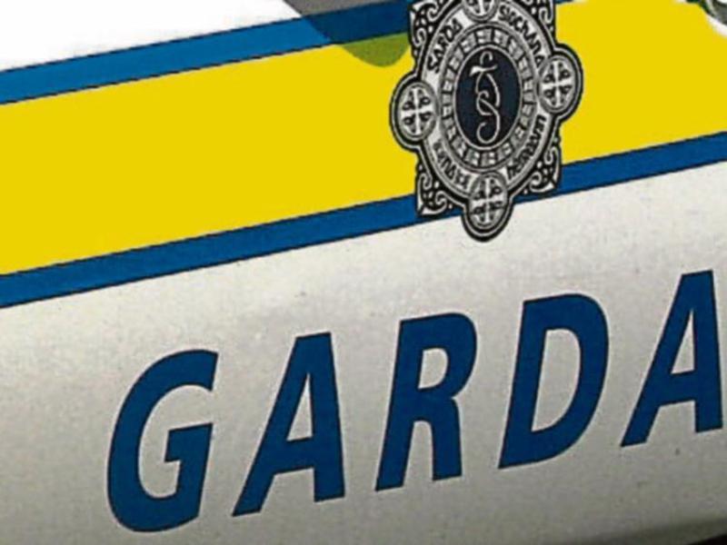 Gardaí investigating dissident republican activity seize firearms and ammunition