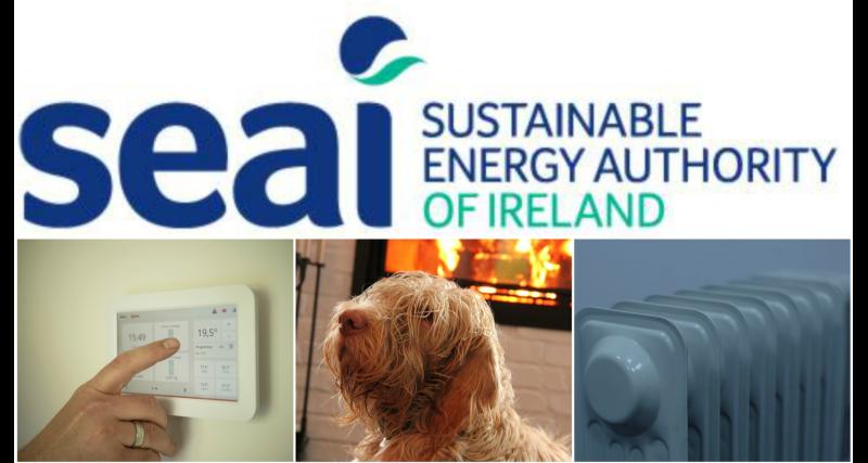 SEAI online event for county Longford businesses and community organisations