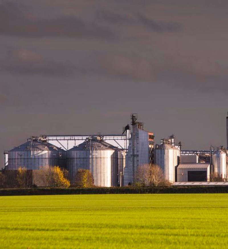 Boortmalt to extend its malting capacity  