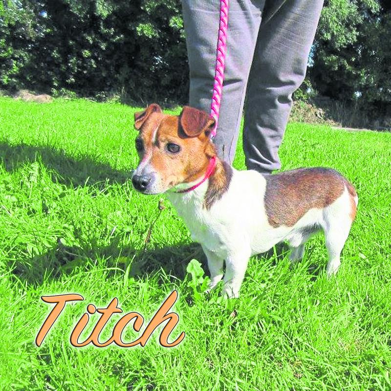 Titch