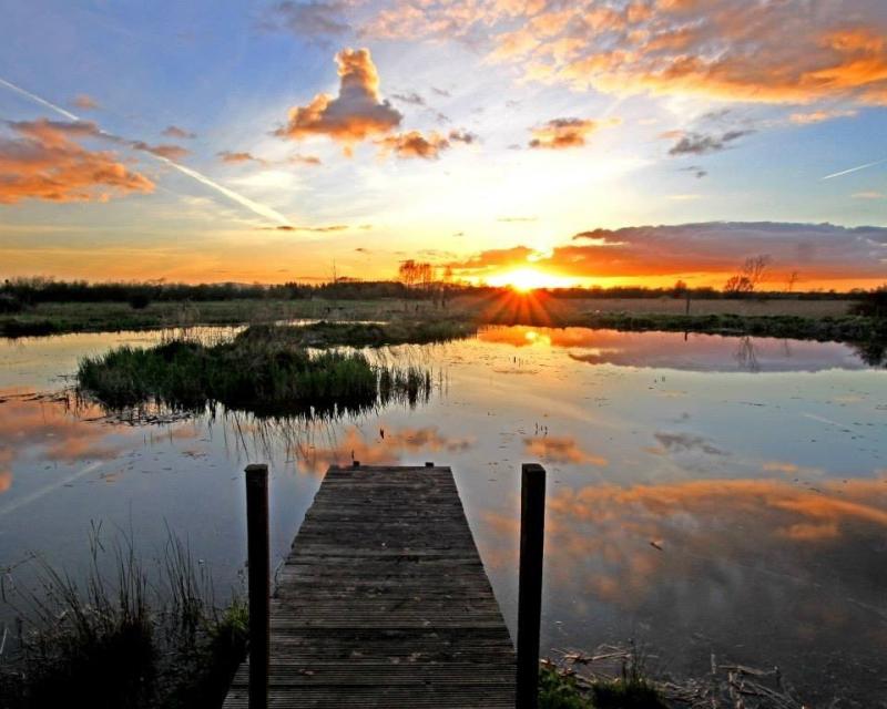 Cabragh Welands in Tipperary allocated over €25,000 in conservation funding
