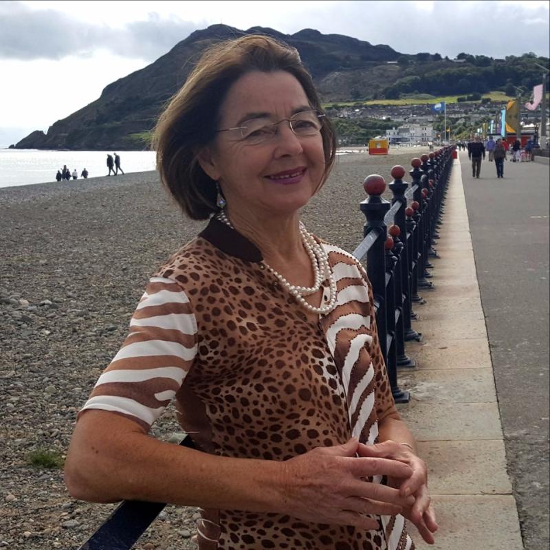 Tipperary  author Carmen Cullen launches second novel 'Hello Dolly'