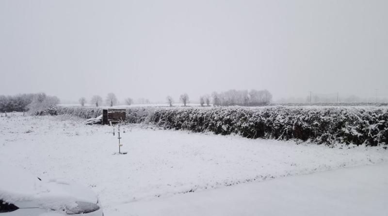 #Beast from the East - doubling of Fuel Allowance 'the only humane option'