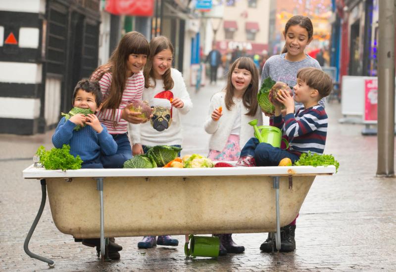 GIY and Energia  ‘Get Ireland Growing’ €75,000 funding pool