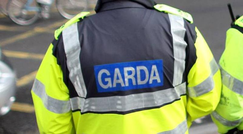 Motorists warned after fallen tree blocks Thurles roadway