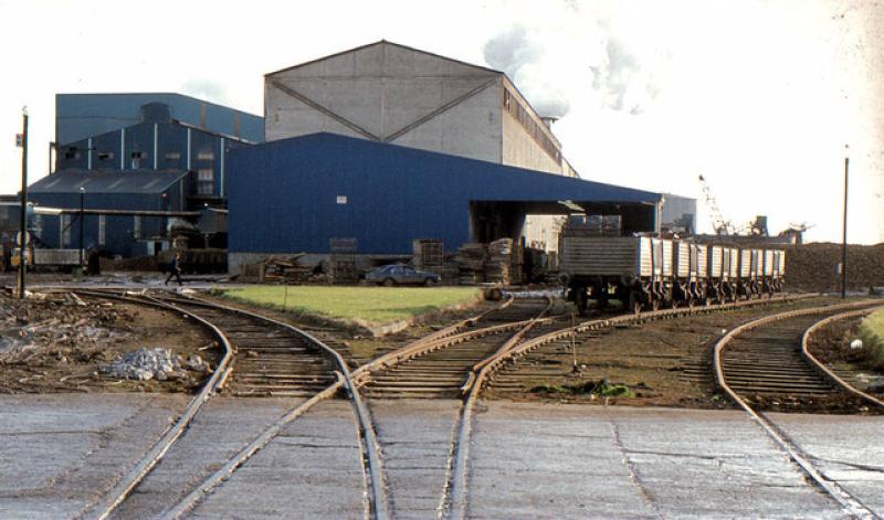 Tipperary must make a bid for any revived Sugar Beet industry plans - Mattie McGrath