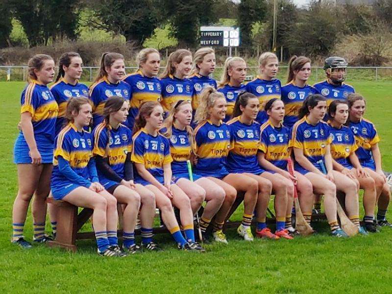 Tipperary Camogie team suffer cruel last minute defeat to Wexford in opening league game