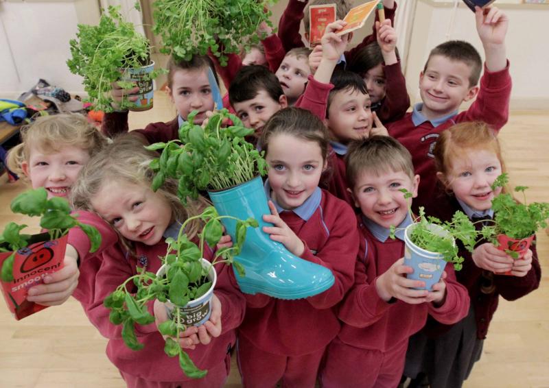 Tipperary Primary Schools now invited to apply for free GIY & innocent BIG GROW Pack