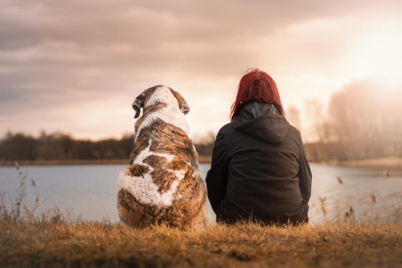 Dog owner
