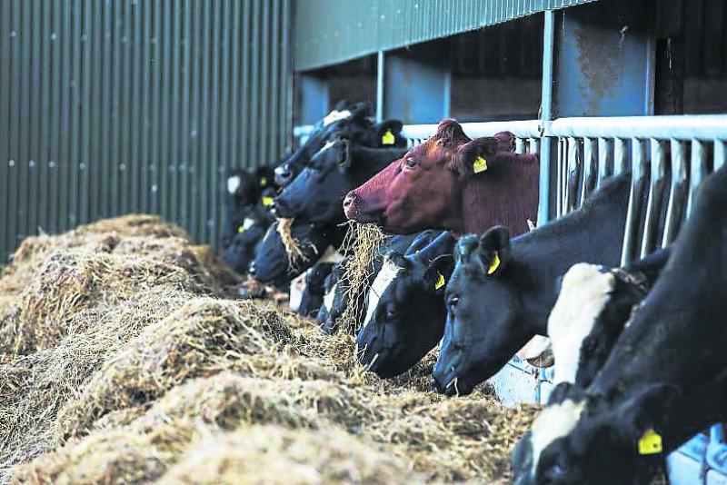 Farmers 