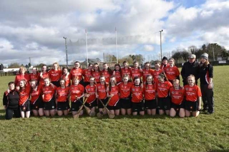 Coláiste Phobal Ros Cré camogie team advance to All Ireland final