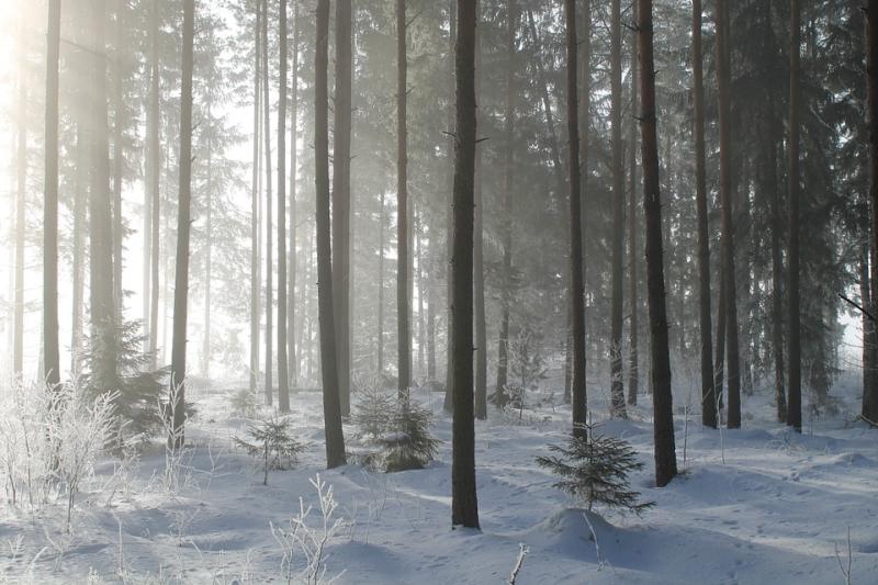All schools in Tipperary to remain closed as county prepares for worst snowstorm in 36 years