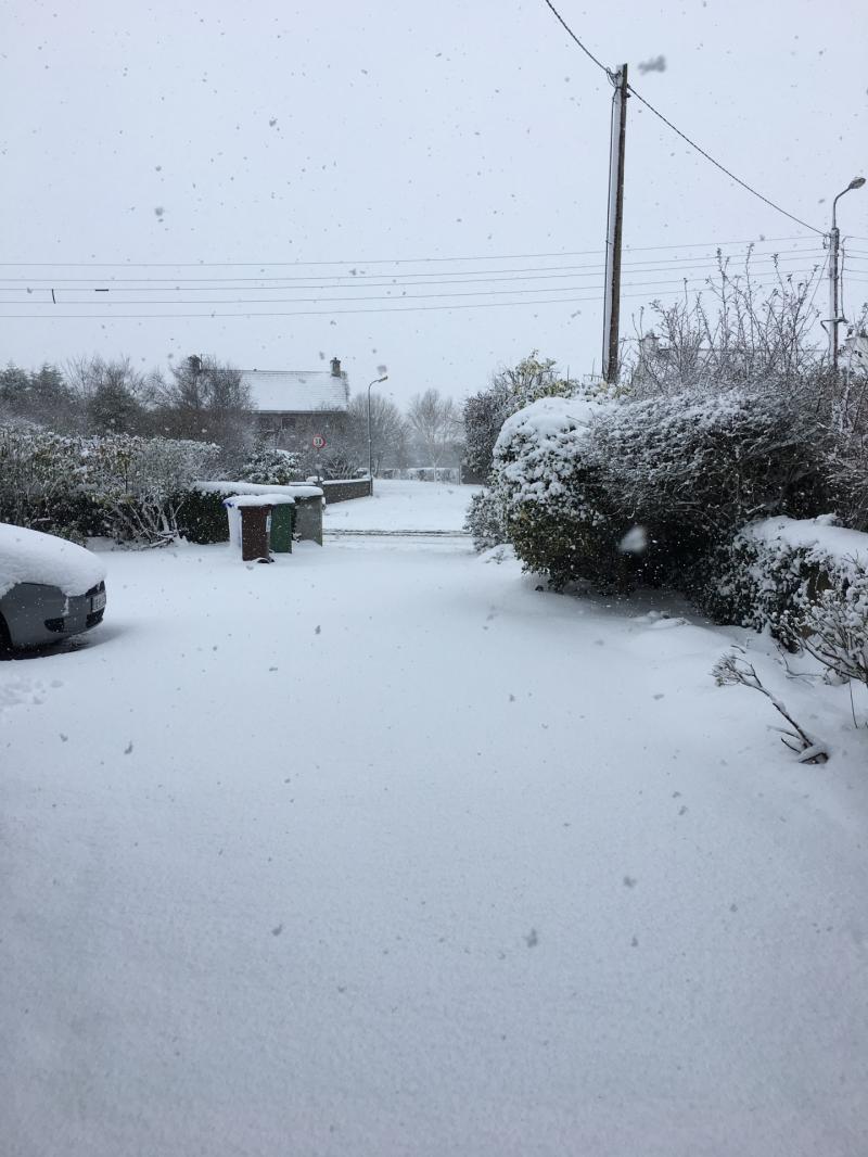 Storm Emma aftermath: Tipperary Gardai praise public for heeding weather warnings