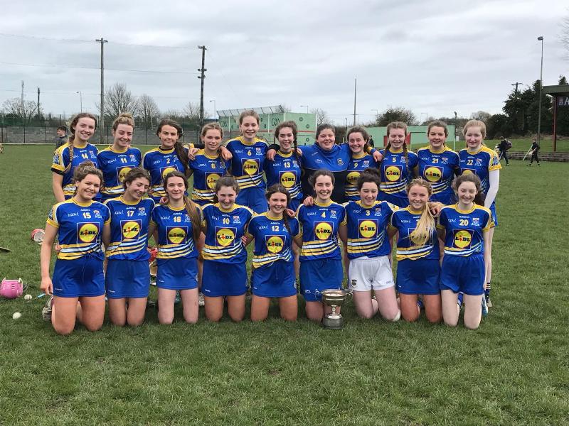 Tipperary students beat Waterford school in Munster final 