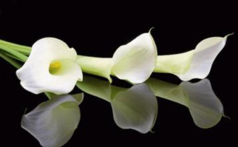 Tipperary deaths - Wednesday 28 March, 2018