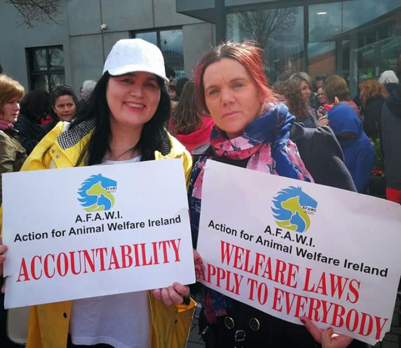 Tipperary group march in protest against horse cruelty