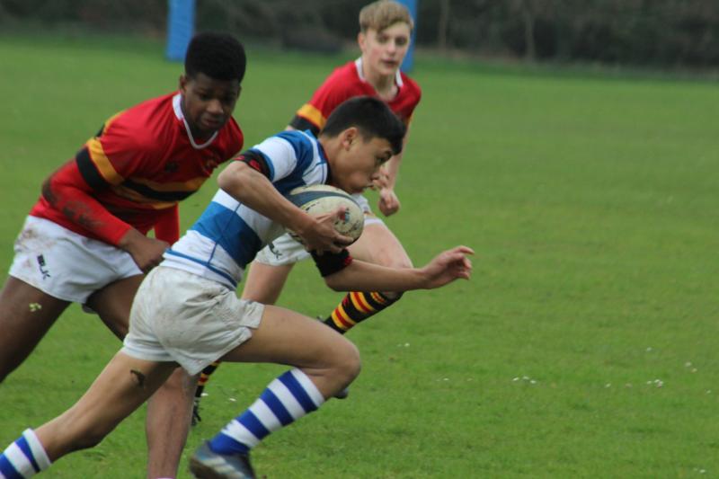 Tipperary's Rockwell College beaten by Cork's Christian Brothers College in Munster rugby final