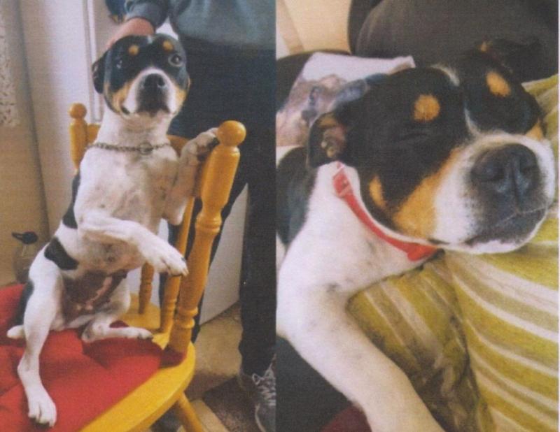 Missing from Lisheen Moyne - “Dimples”