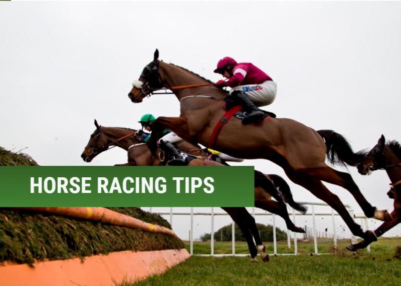 THE PUNTER'S EYE: The 40/1 shot that could make you a fortune this weekend
