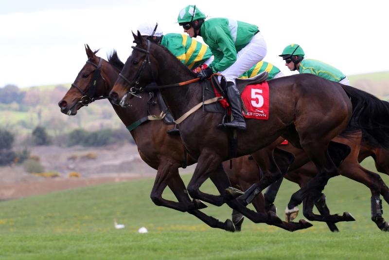 Punchestown Festival