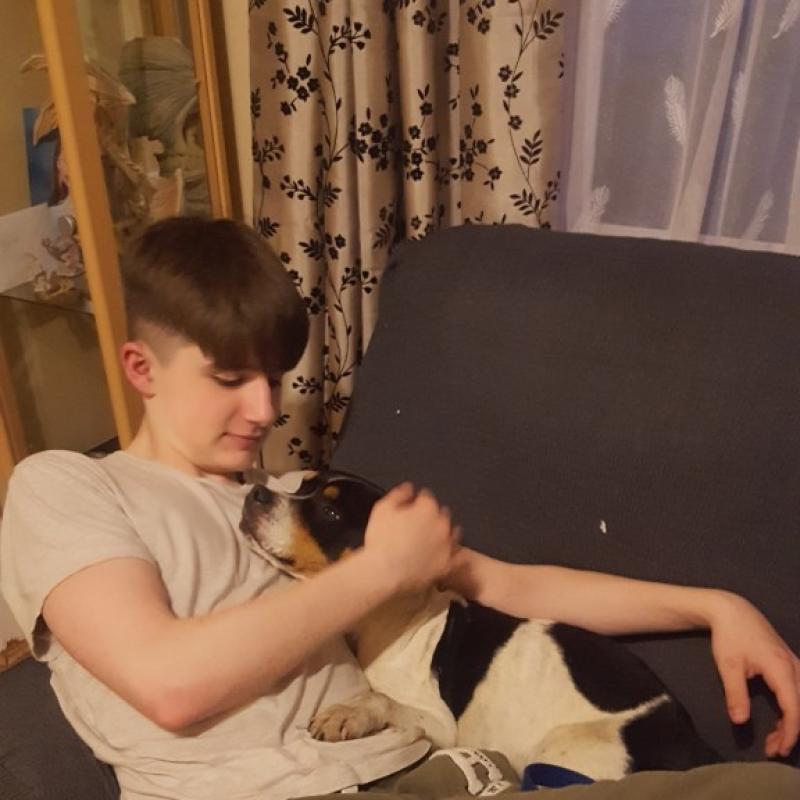 Thurles family praise ‘kindness of strangers’ after missing dog Dimples is returned home