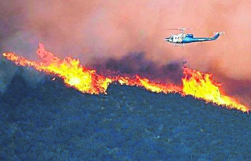  Department of Agriculture issues status red warning for forest fires