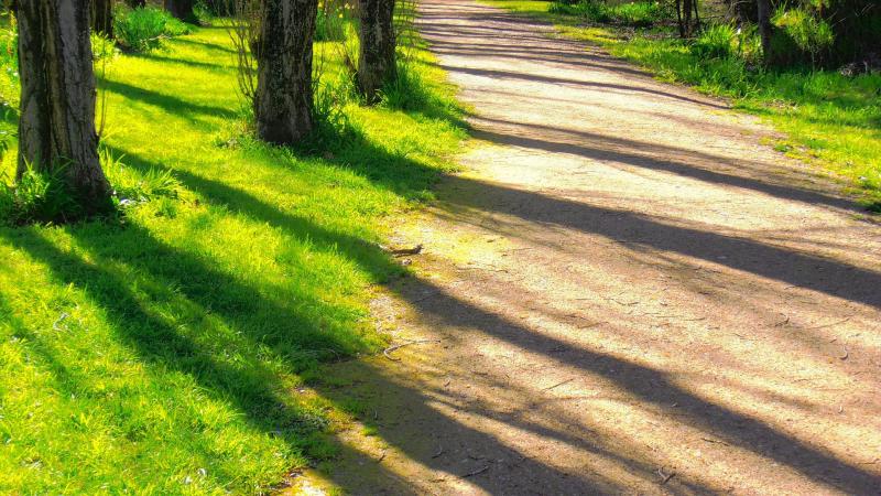 Grange Walkway project underway
