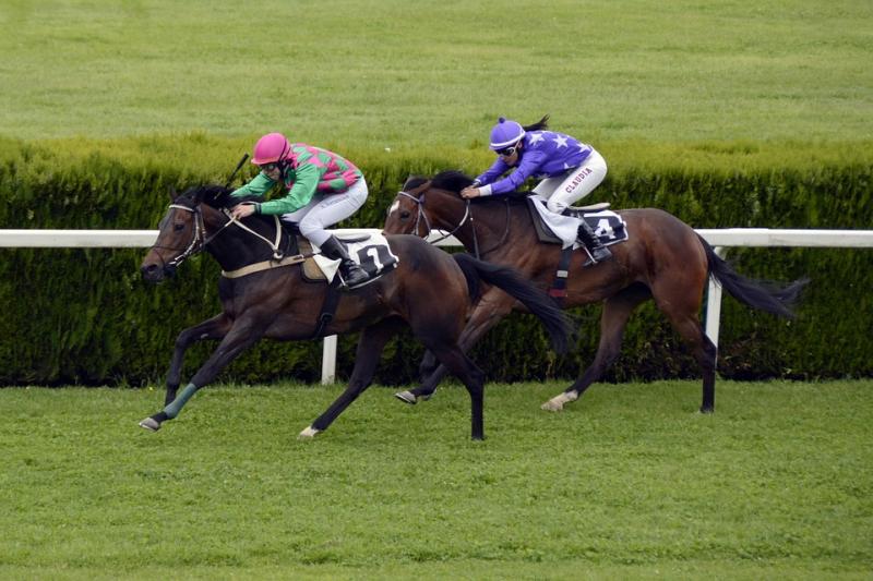 Tipperary punter lands €37,537.50  with four-horse accumulator 
