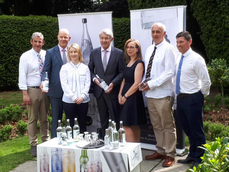 100 jobs for Borrisoleigh