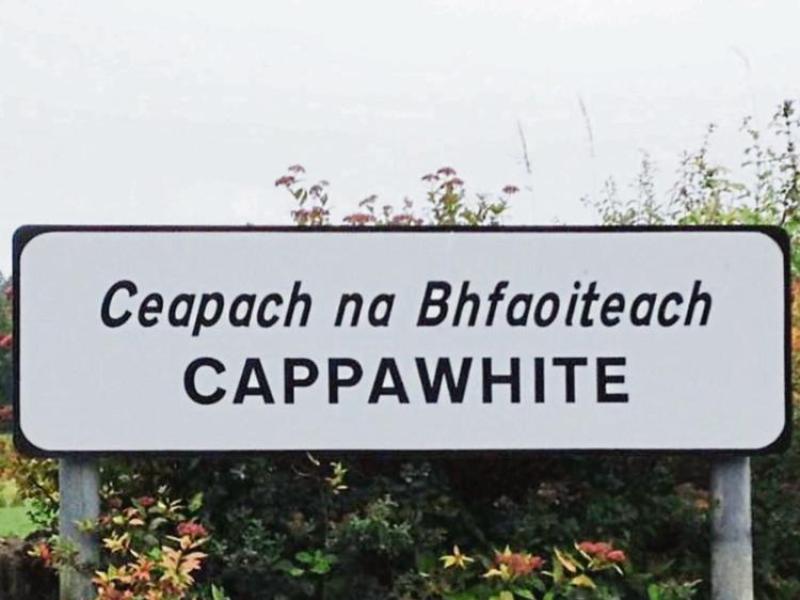 Cappawhite Daycare says goodbye to Timmy